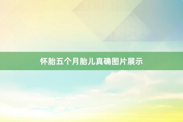 怀胎五个月胎儿真确图片展示
