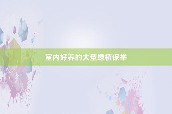 室内好养的大型绿植保举