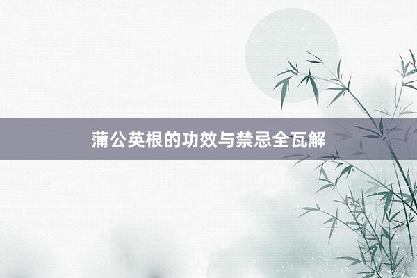 蒲公英根的功效与禁忌全瓦解