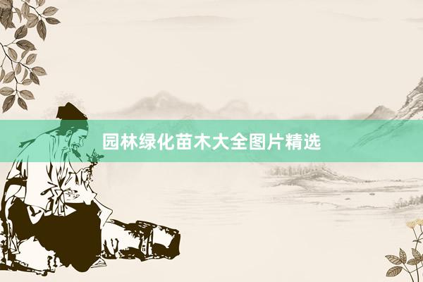 园林绿化苗木大全图片精选