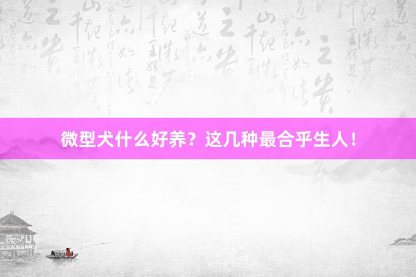 微型犬什么好养？这几种最合乎生人！