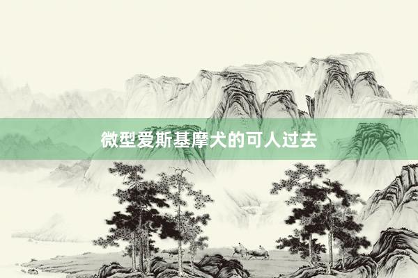 微型爱斯基摩犬的可人过去