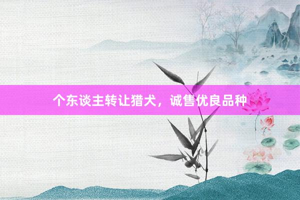 个东谈主转让猎犬，诚售优良品种