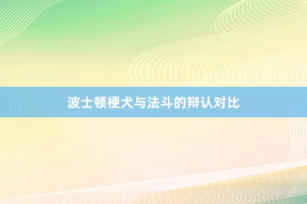 波士顿梗犬与法斗的辩认对比